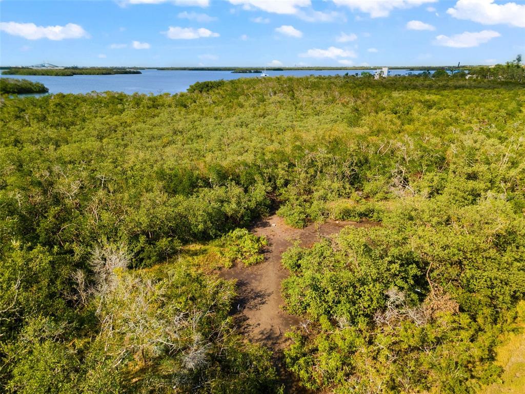 445 Horseshoe Loop Road Terra Ceia, FL 34250 - Photo 46 of 65 a view of a lake from a yard