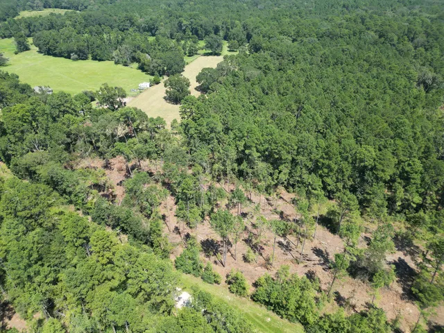 $1,057,590 | Tbd Vick Spring Road, Huntsville, TX 77340