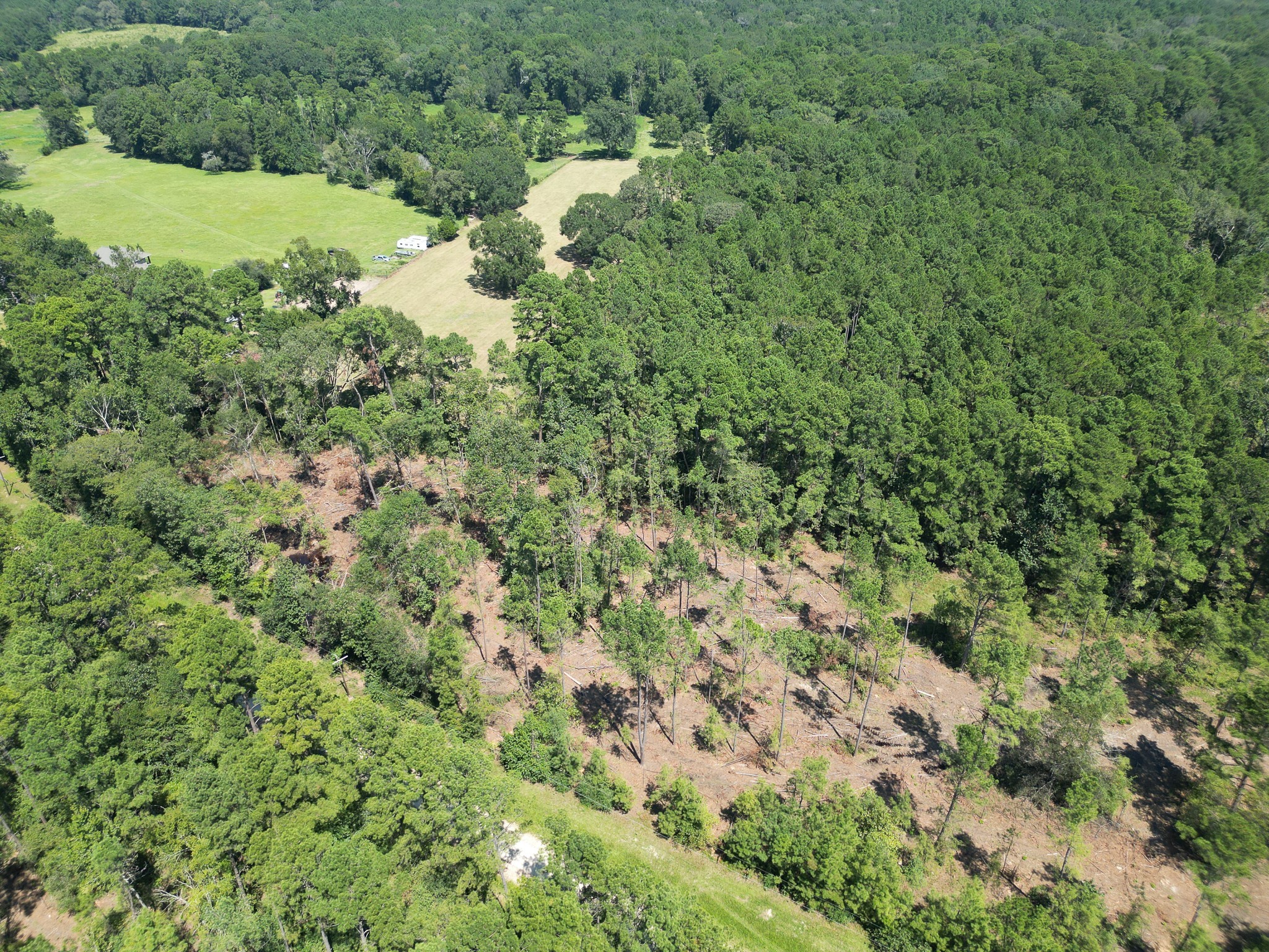 Tbd Vick Spring Road Huntsville, TX 77340 - Photo 11 of 14 a view of a lush green forest with houses