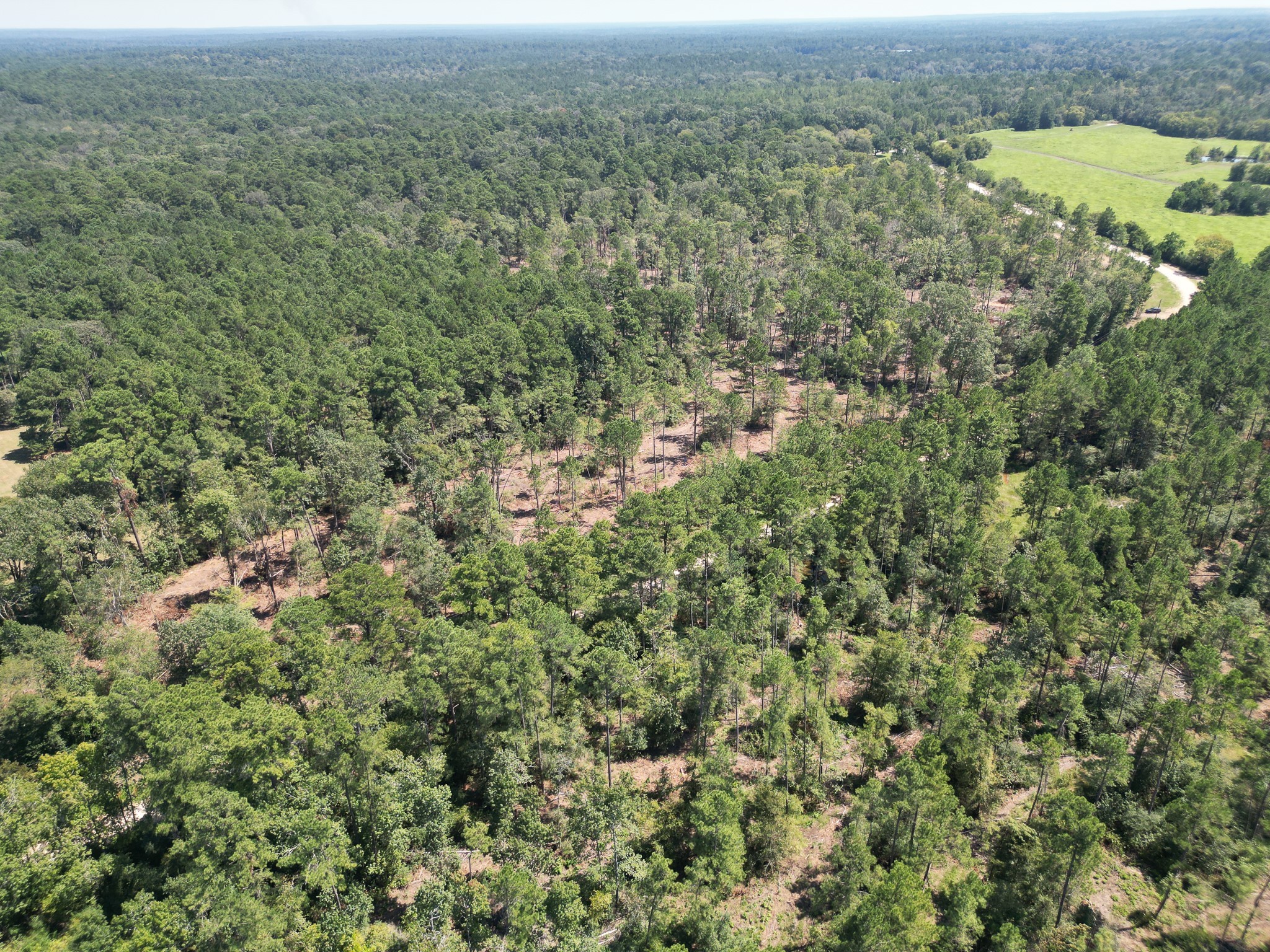 Tbd Vick Spring Road Huntsville, TX 77340 - Photo 12 of 14 an aerial view of residential houses with outdoor space and trees