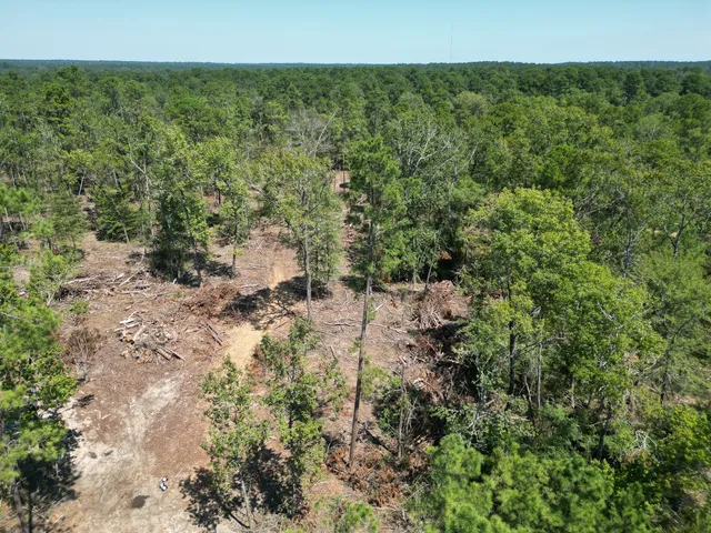 $1,057,590 | Tbd Vick Spring Road, Huntsville, TX 77340