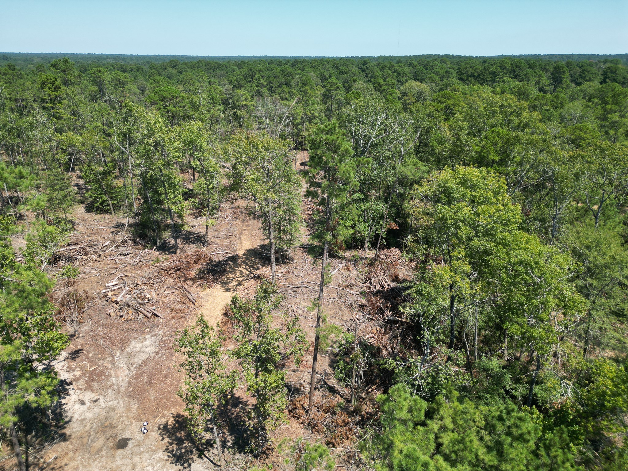 Tbd Vick Spring Road Huntsville, TX 77340 - Photo 14 of 14 a view of a bunch of trees and bushes