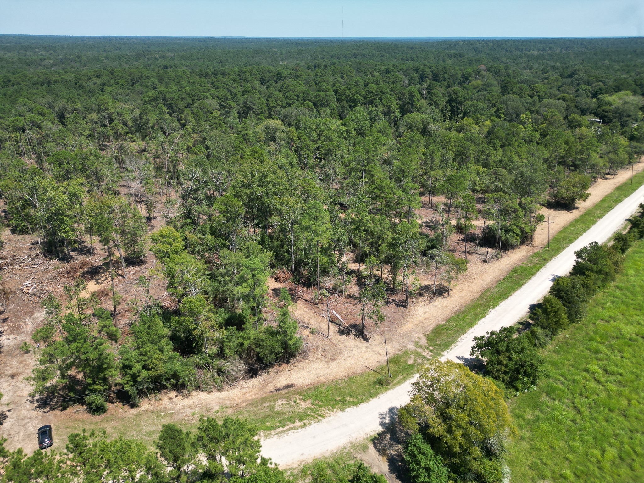 Tbd Vick Spring Road Huntsville, TX 77340 - Photo 5 of 14 a view of a forest with a street