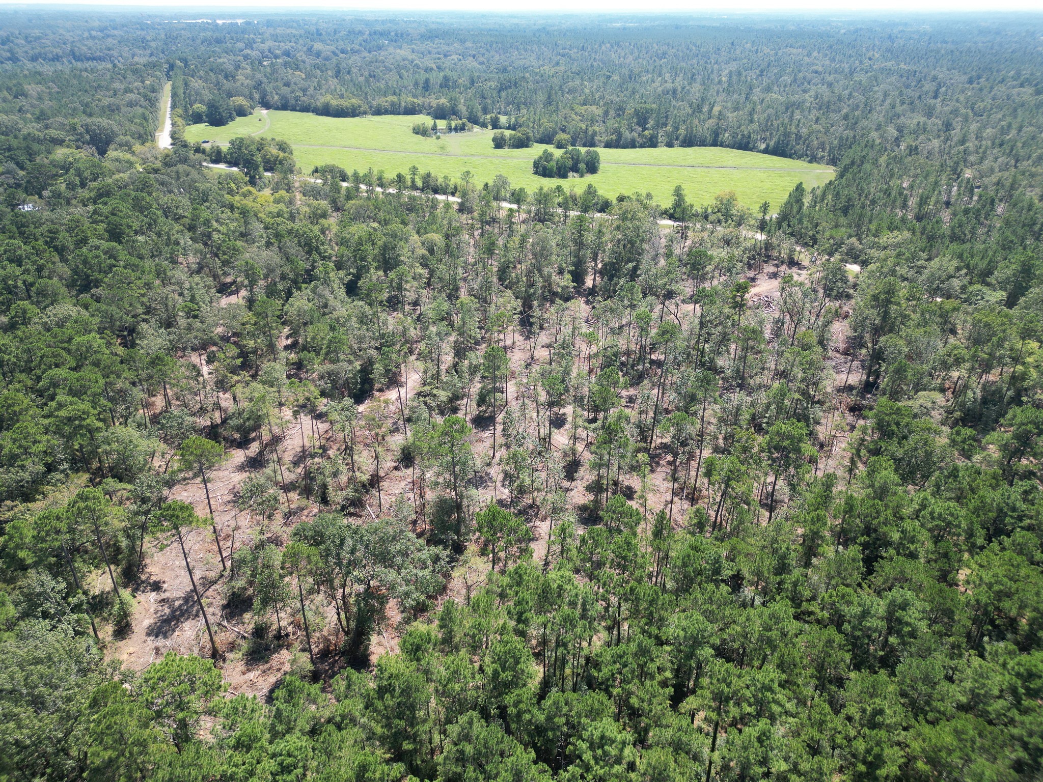 Tbd Vick Spring Road Huntsville, TX 77340 - Photo 9 of 14 an aerial view of a houses with a lush green forest