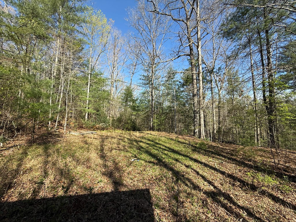 2231 Camp Creek Road Murphy, NC 28906 - Photo 3 of 26