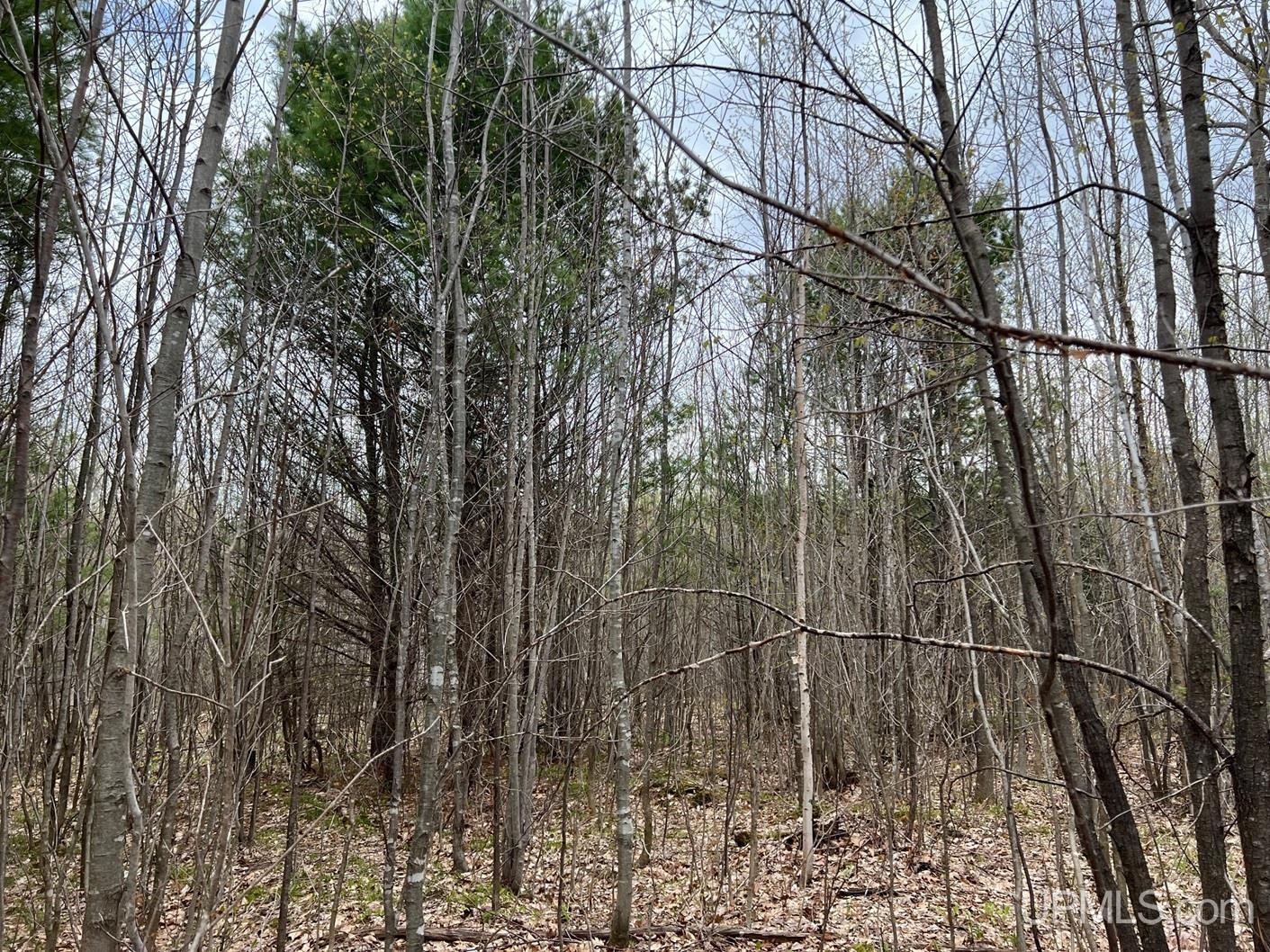 Tbdw Tbdw Off Townline Road Lanse, MI 49946 - Photo 10 of 17