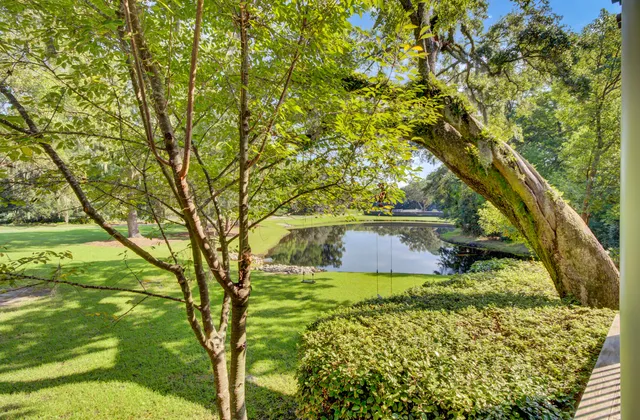 $4,075,000 | 290 Delahow Street, Charleston, SC 29492