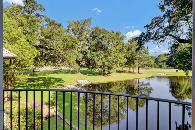 $4,075,000 | 290 Delahow Street, Charleston, SC 29492