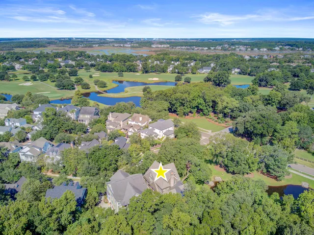 $4,075,000 | 290 Delahow Street, Charleston, SC 29492