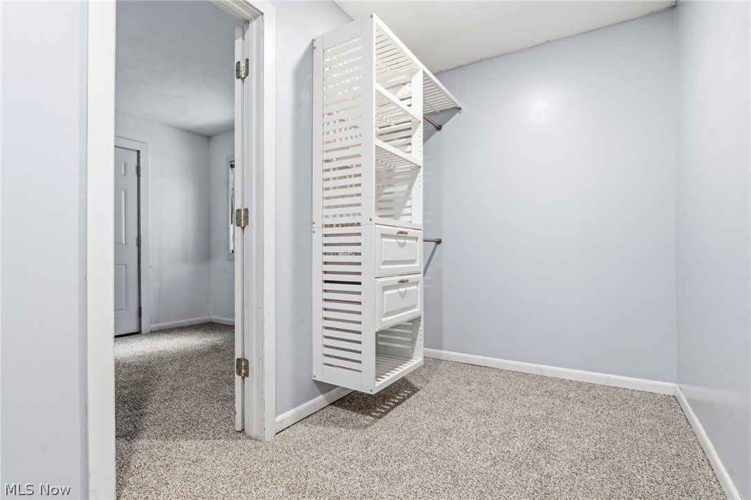 4449 18th Street Northwest Canton, OH 44708 - Photo 15 of 25 Walk-in closet featuring built-in white shelving with drawers, wall-to-wall carpeting, and light-toned wall paint