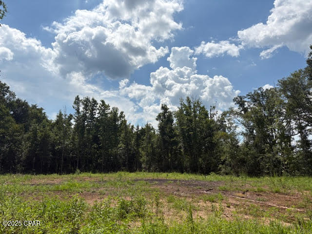 0 Bonnet Pond Road Cottondale, FL 32431 - Photo 5 of 11