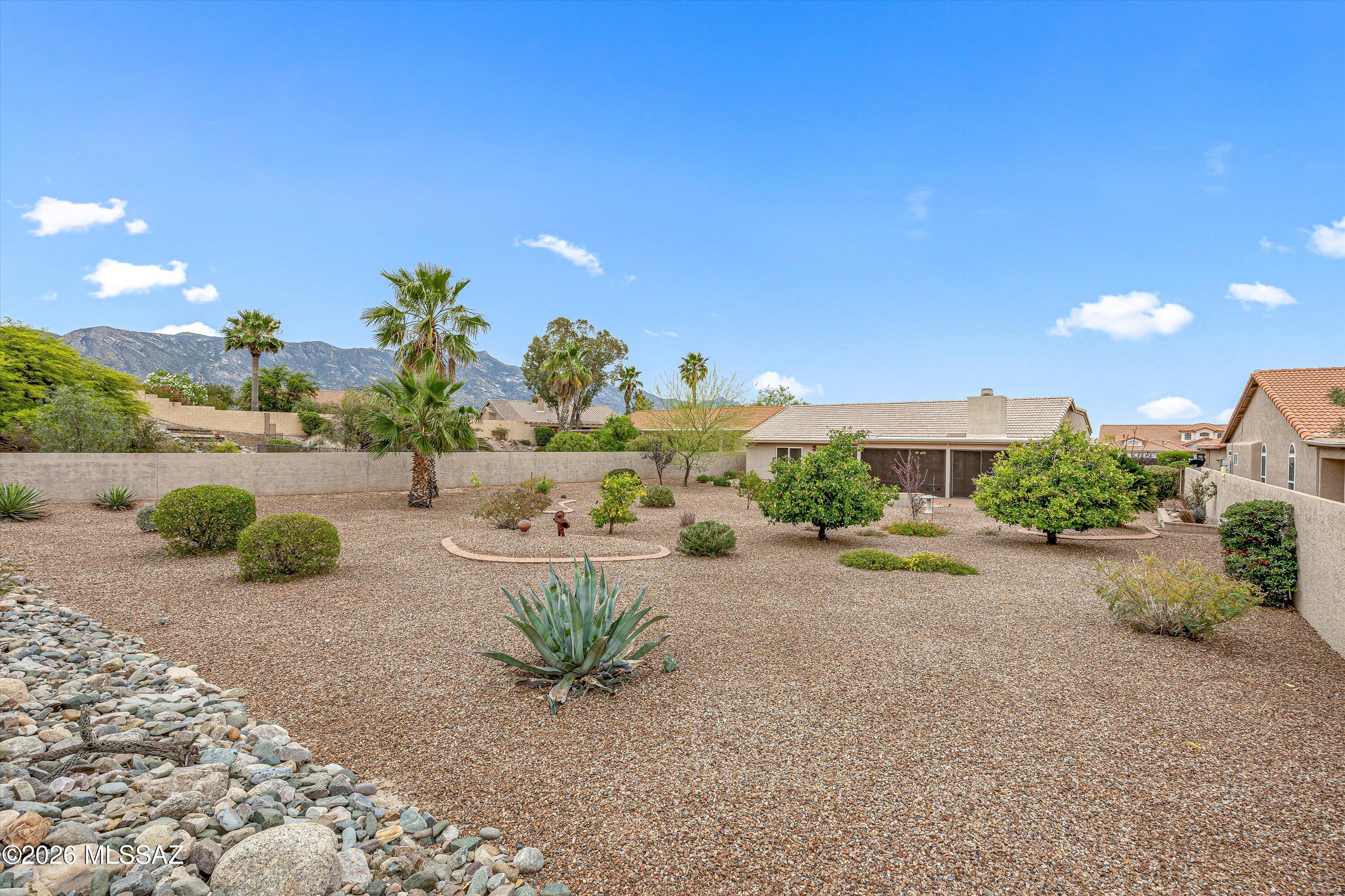 36967 South Ridgeview Boulevard Tucson, AZ 85739 - Photo 41 of 51 Huge Backyard
