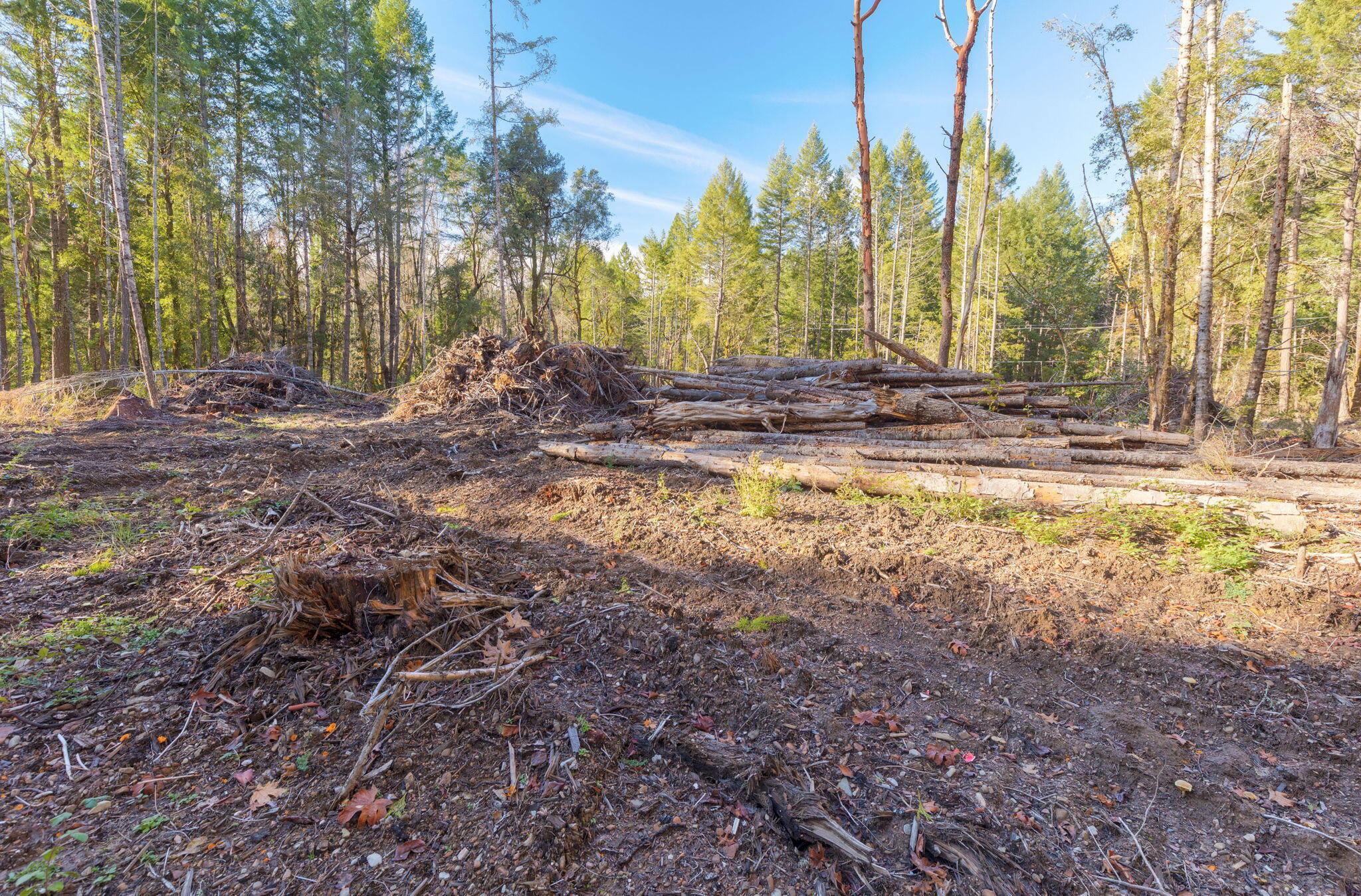 101 3 Mill Road Selma, OR 97538 - Photo 15 of 39 18-web-or-mls-101-3-mill-rd