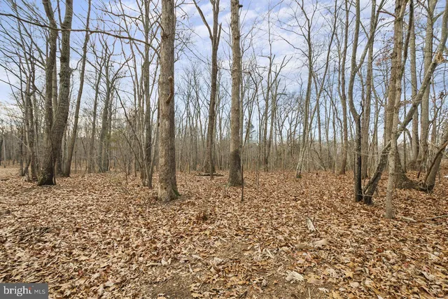 $1,649,900 | 7389 Leeds Manor Road, Marshall, VA 20115