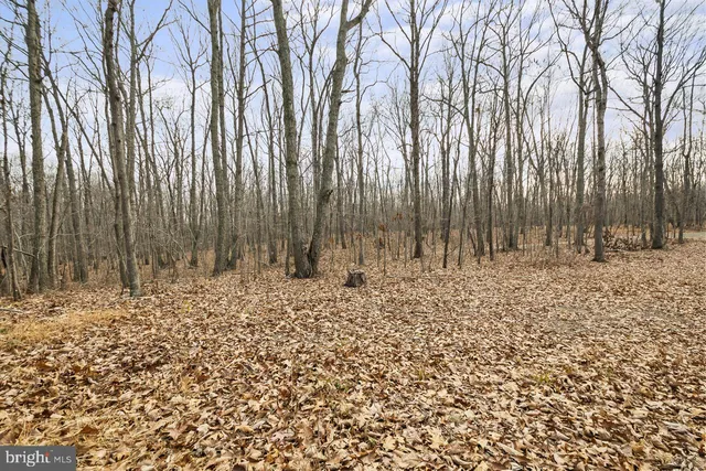 $1,649,900 | 7389 Leeds Manor Road, Marshall, VA 20115