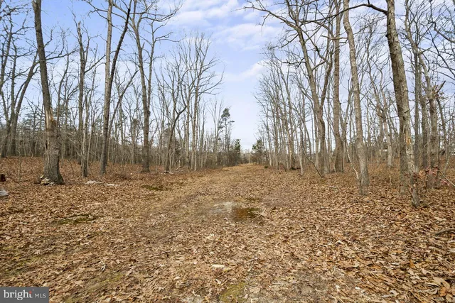 $1,649,900 | 7389 Leeds Manor Road, Marshall, VA 20115