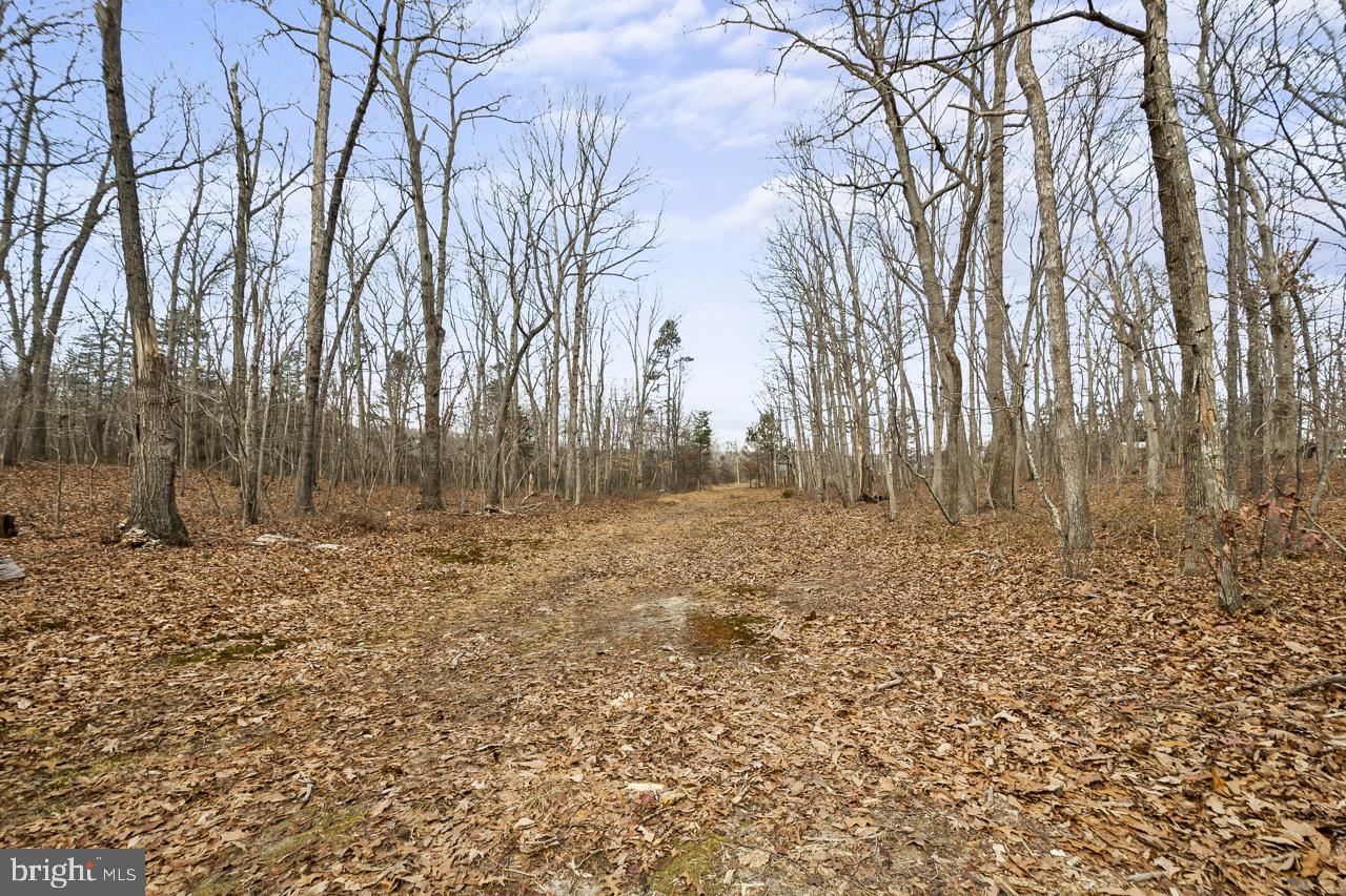 7389 Leeds Manor Road Marshall, VA 20115 - Photo 14 of 21