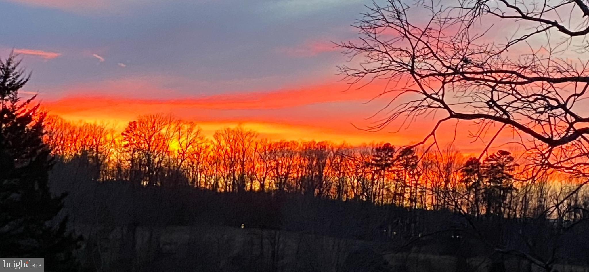 7389 Leeds Manor Road Marshall, VA 20115 - Photo 21 of 21