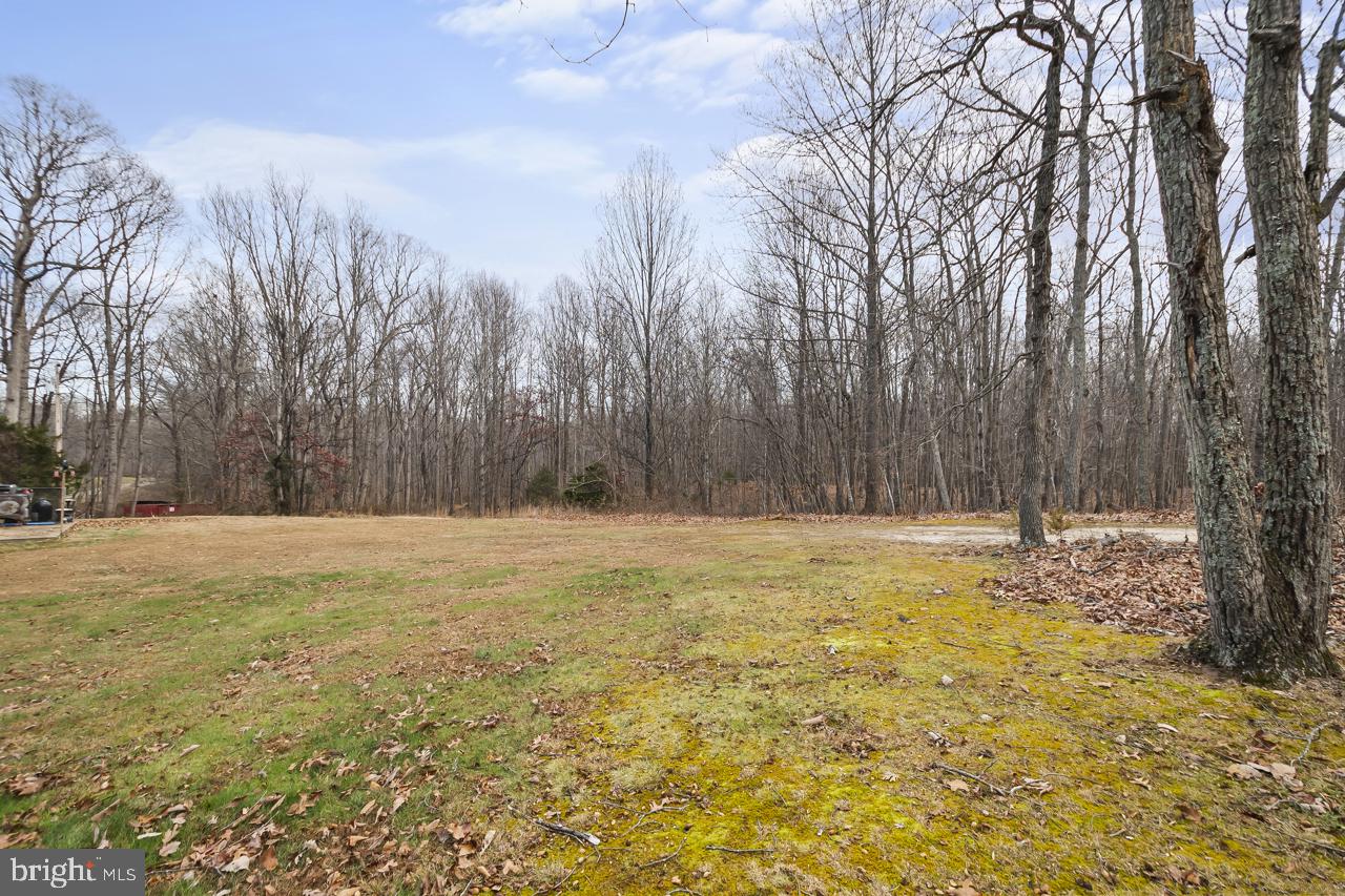 7389 Leeds Manor Road Marshall, VA 20115 - Photo 6 of 21