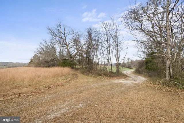 $1,649,900 | 7389 Leeds Manor Road, Marshall, VA 20115