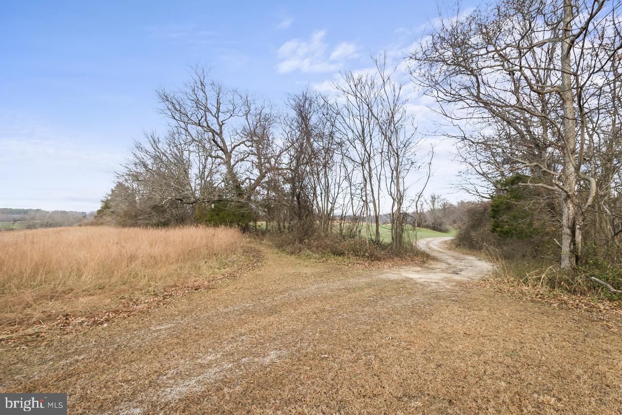 7389 Leeds Manor Road Marshall, VA 20115 - Photo 10 of 21