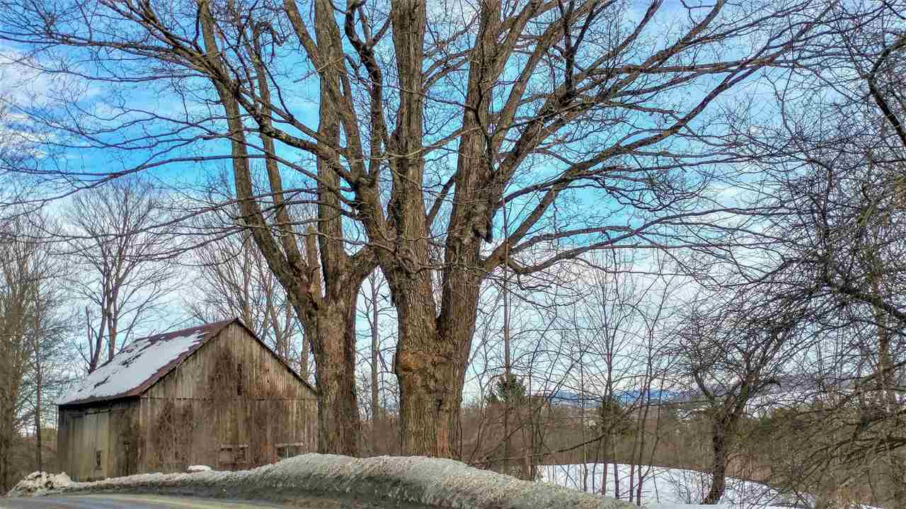 604 Rood Pond Road Williamstown, VT 05679 - Photo 3 of 32