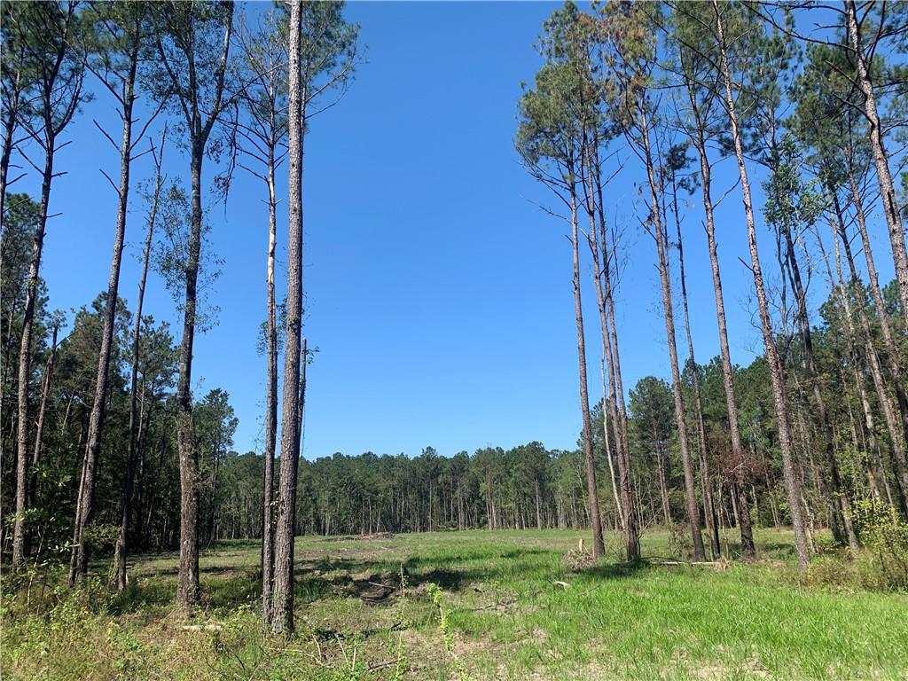 30854 George White Road Springfield, LA 70462 - Photo 1 of 7