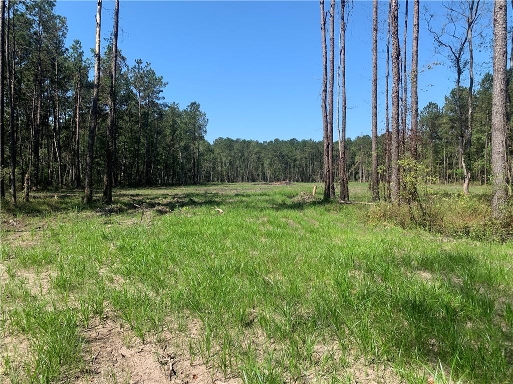 30854 George White Road Springfield, LA 70462 - Photo 2 of 7