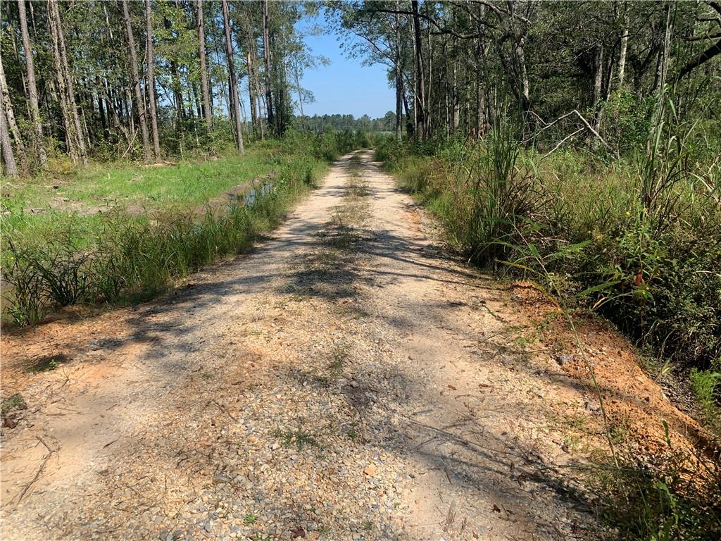 30854 George White Road Springfield, LA 70462 - Photo 3 of 7