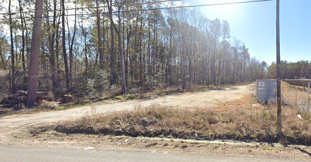 30854 George White Road Springfield, LA 70462 - Photo 5 of 7