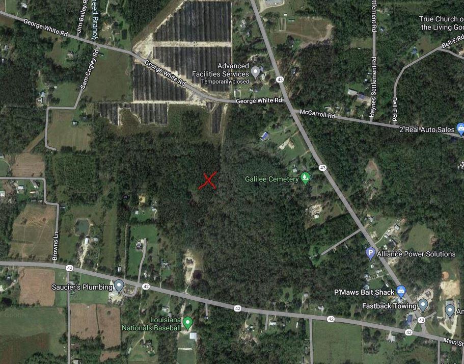 30854 George White Road Springfield, LA 70462 - Photo 6 of 7