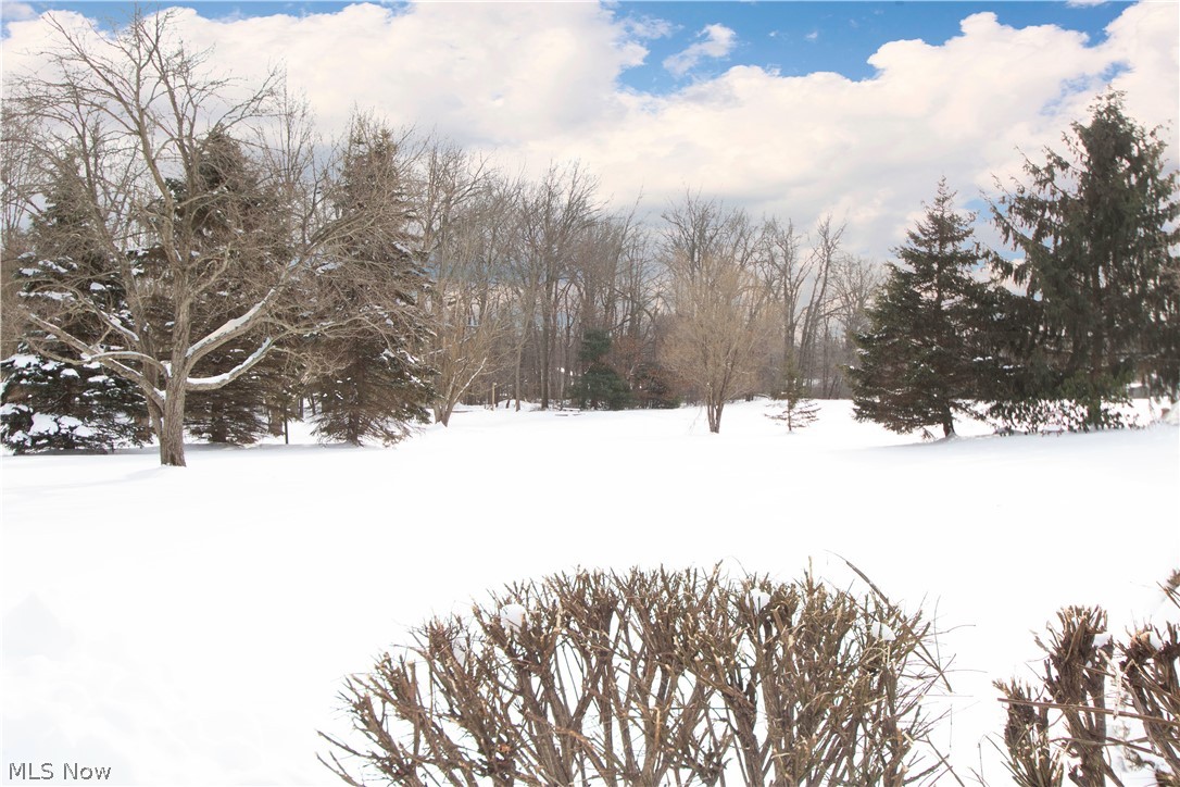 2928 Anderson Morris Road Niles, OH 44446 - Photo 23 of 29 Gallery Image 23