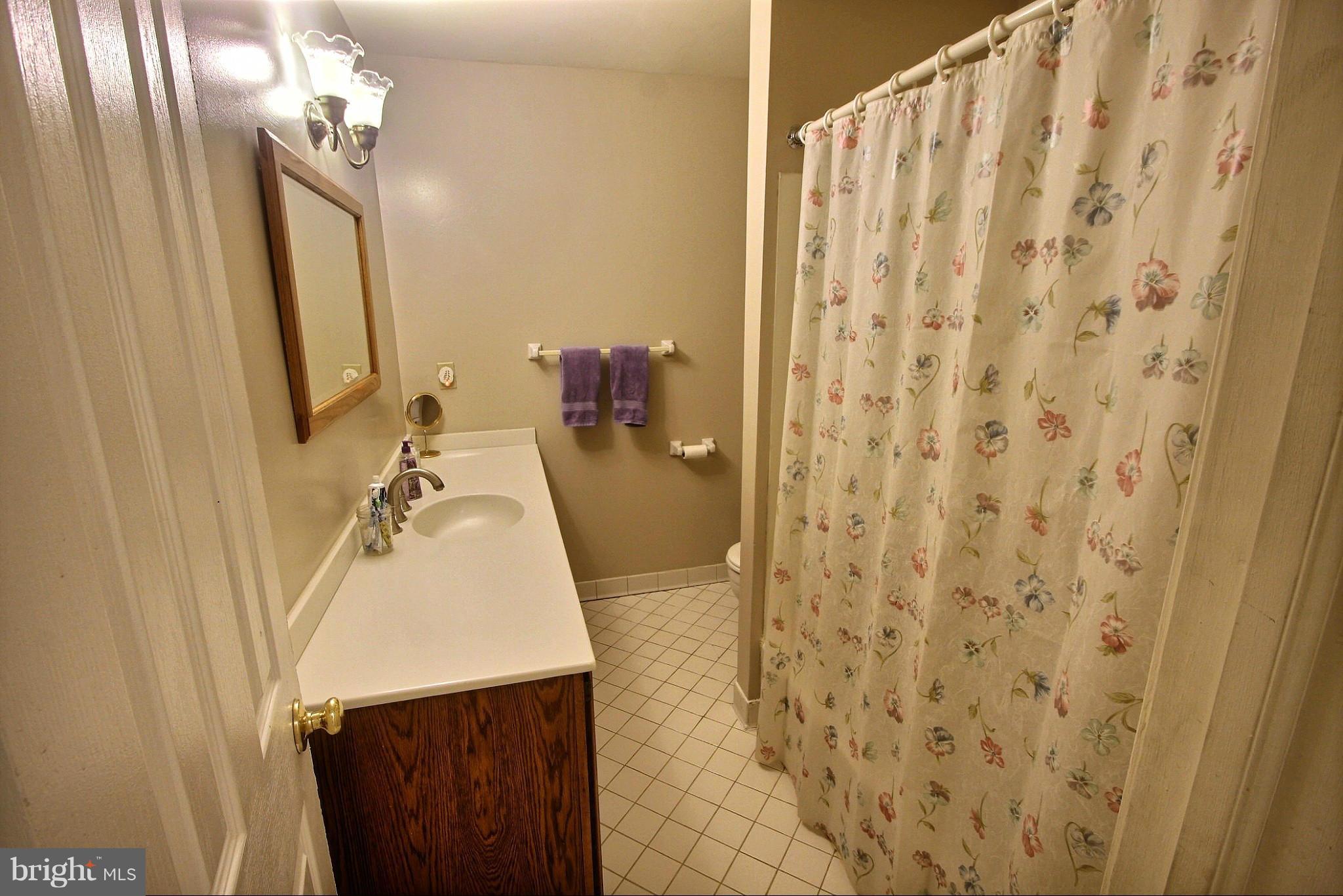 21404 Laytonsville Road Gaithersburg, MD 20882 - Photo 13 of 30 a bathroom with a sink a mirror and shower curtain