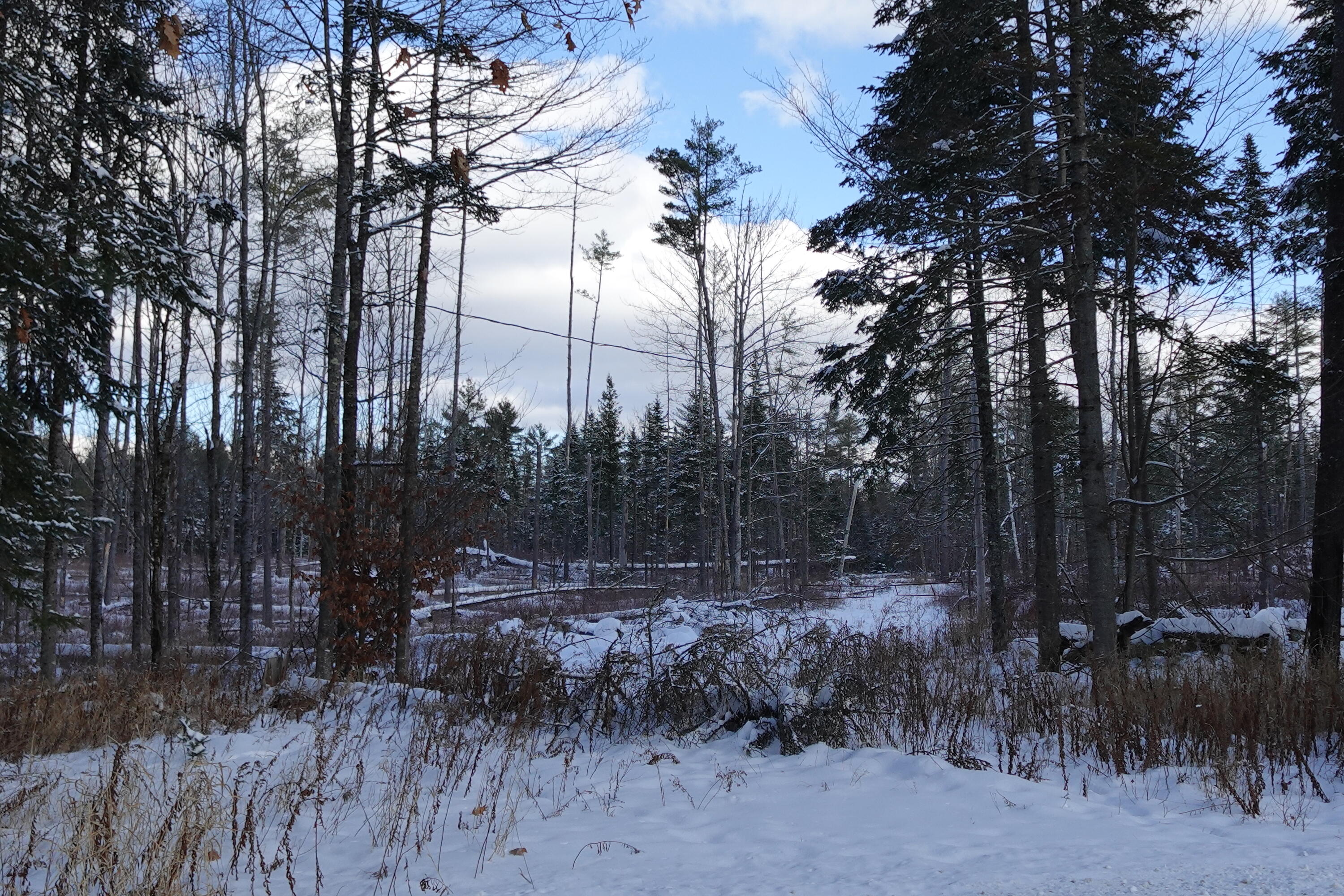 261 Bert Berry Road Embden, ME 04958 - Photo 4 of 6 DSC00443