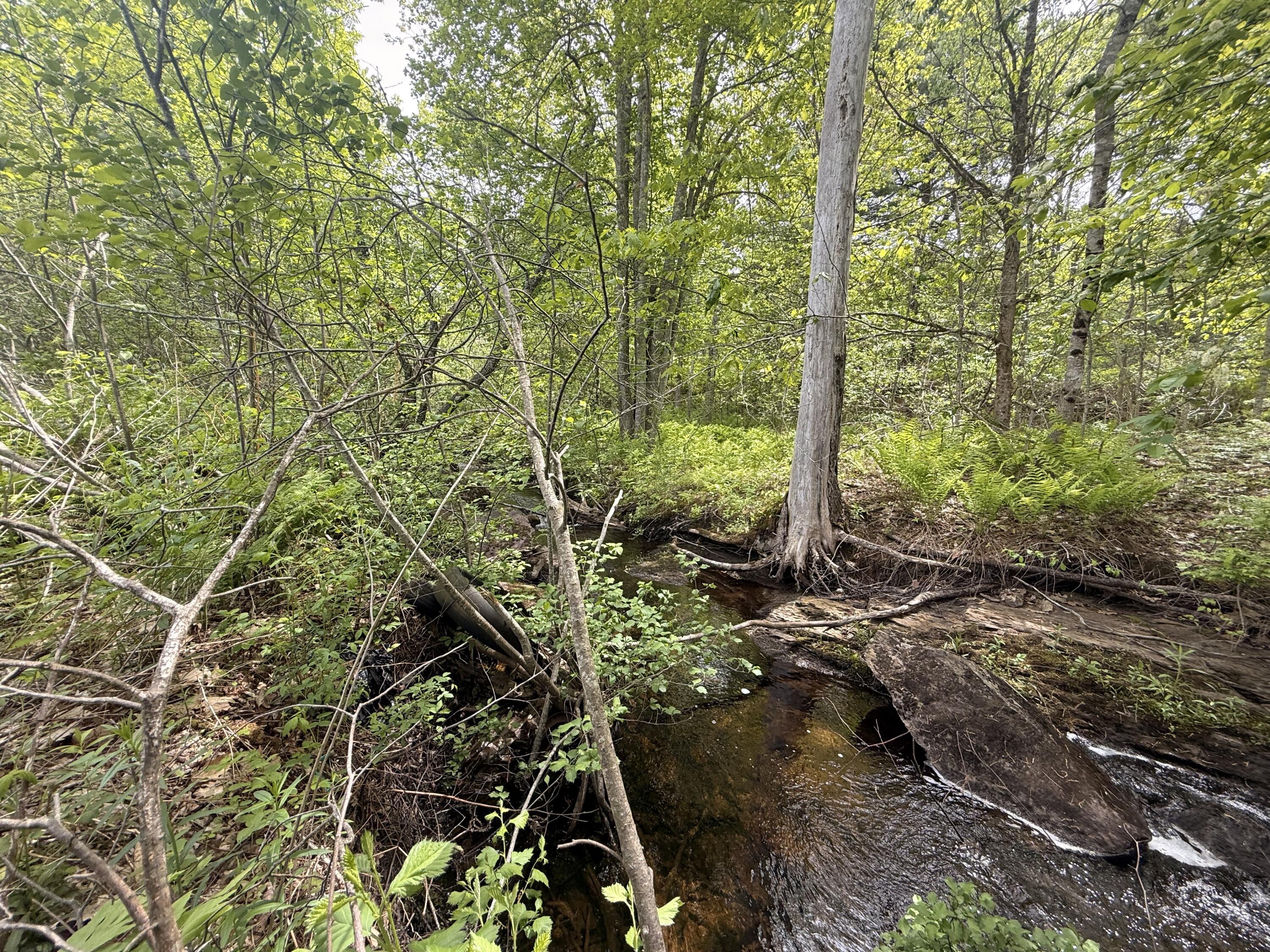 Lot 14 Beach Road Lincolnville, ME 04849 - Photo 11 of 14 IMG_0620