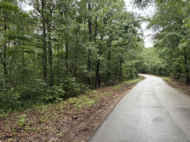 268 Cedar Valley Road Coldspring, TX 77331 - Photo 23 of 29