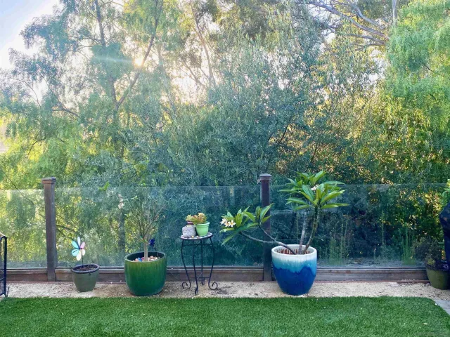a view of a backyard with potted plants and water fountain