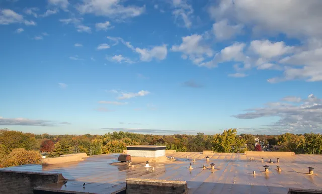 a view of city and ocean