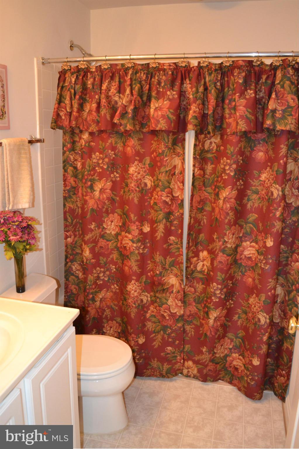 9005 Roaring Spring Loop Bristow, VA 20136 - Photo 17 of 22 Bath