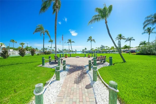 a view of a park with plants and palm trees