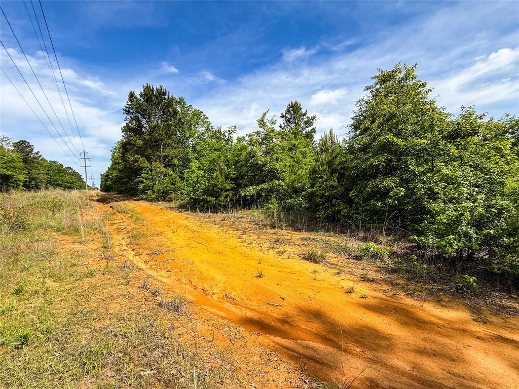 Tbd White Oak Road Big Sandy, TX 75755 - Photo 23 of 24