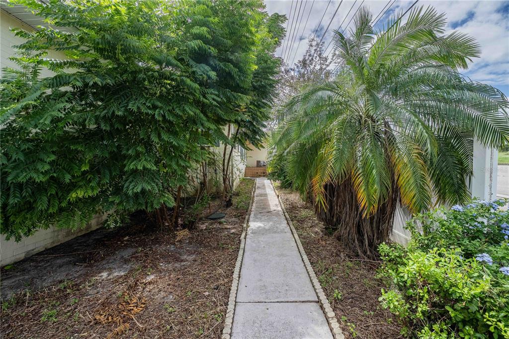 5110 Lakeland Highlands Road Lakeland, FL 33813 - Photo 39 of 40 a view of a pathway with plants