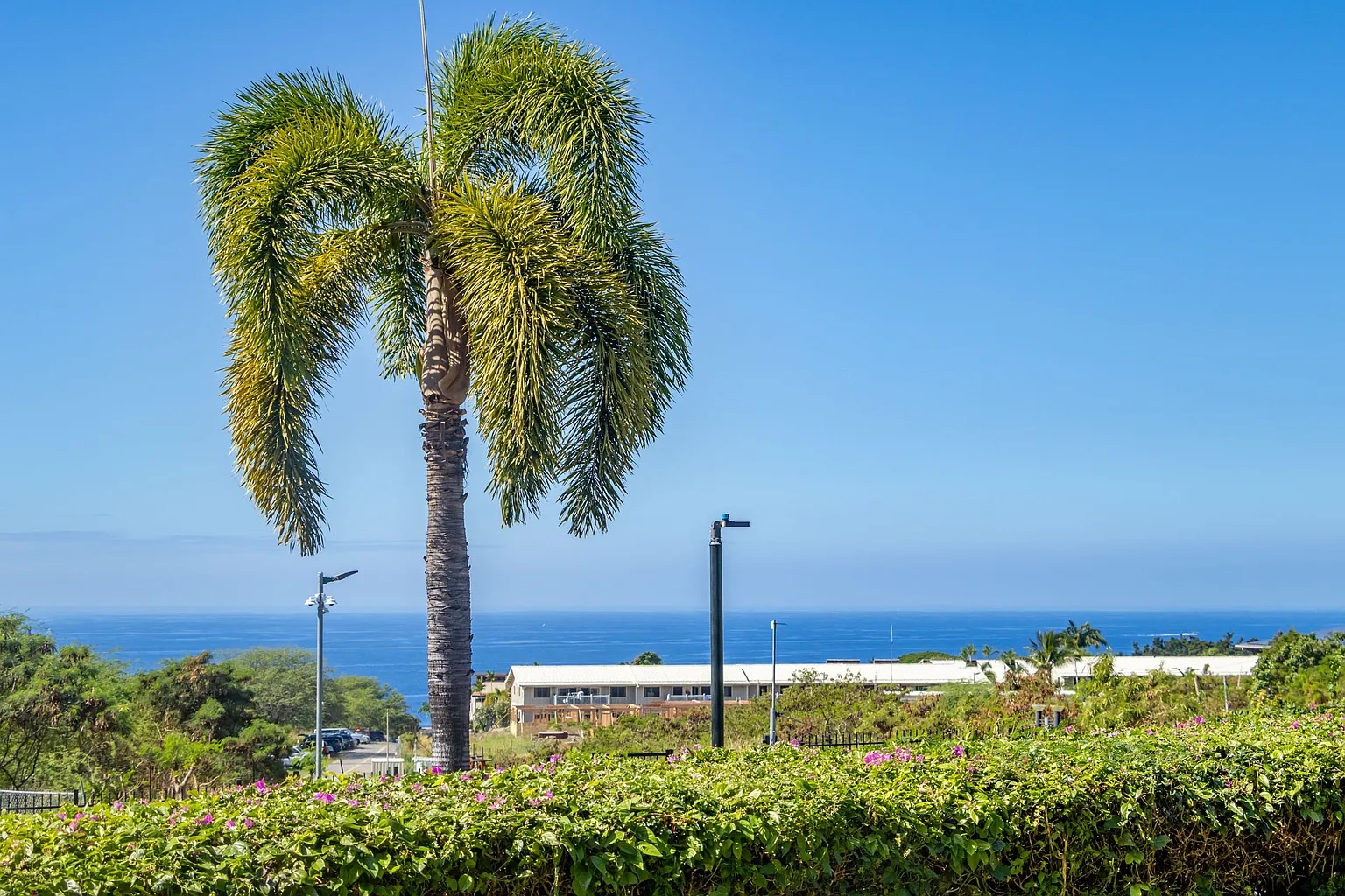 75-346 Hualalai Road, Unit E101 Kailua-Kona, HI 96740 - Photo 3 of 29