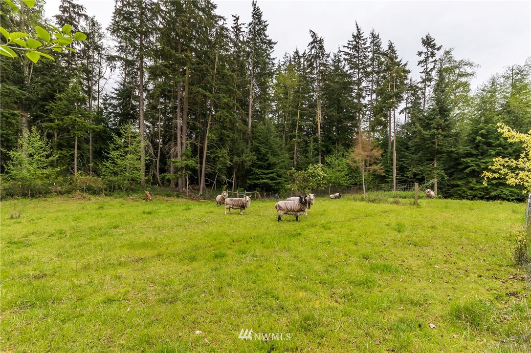 1254 Silver Lake Road Oak Harbor, WA 98277 - Photo 25 of 25 Gallery Image 25