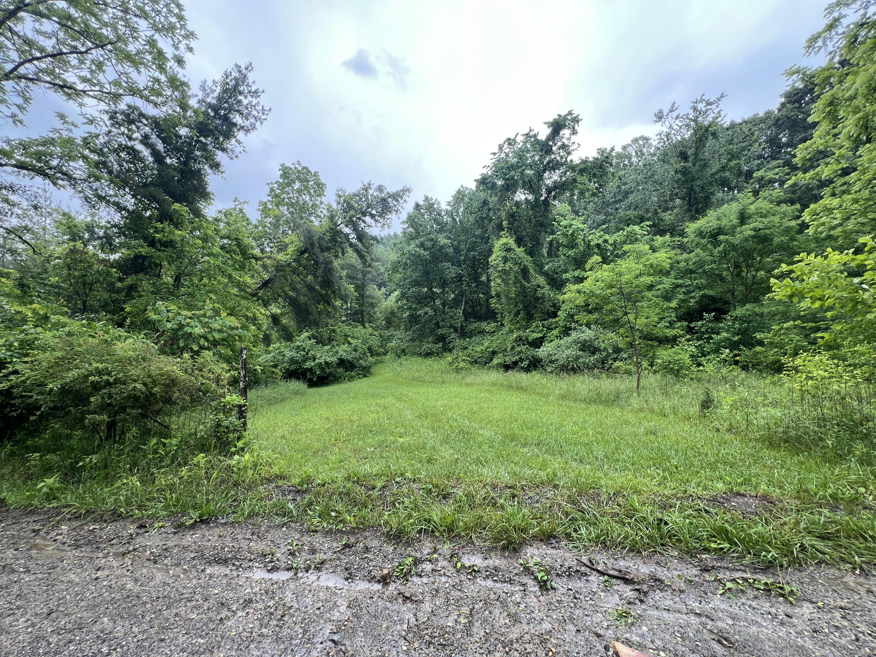 0 Robertson Mountain Road Narrows, VA 24124 - Photo 3 of 21 Donovan C
