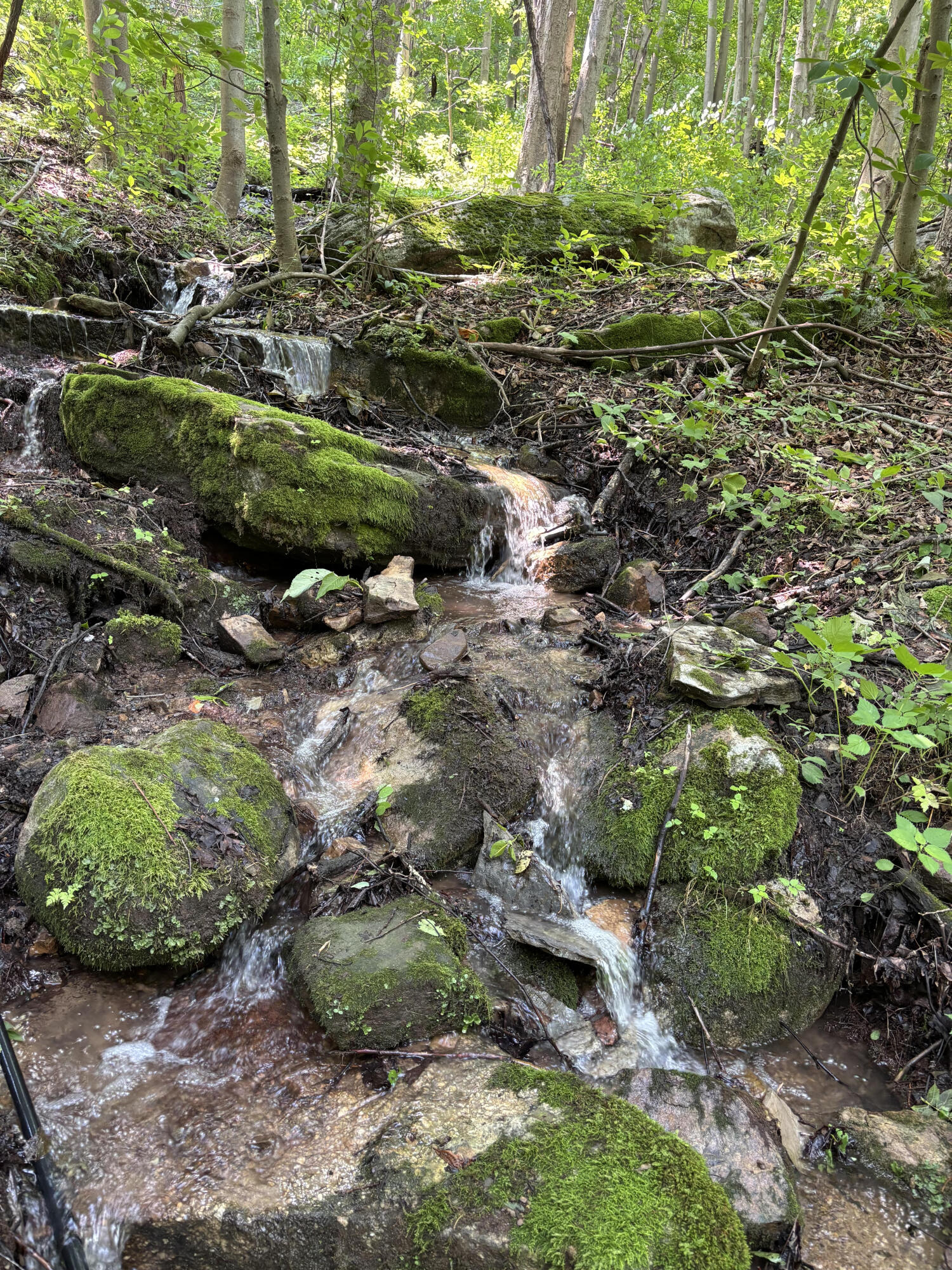 0 Robertson Mountain Road Narrows, VA 24124 - Photo 6 of 21 Donovan E