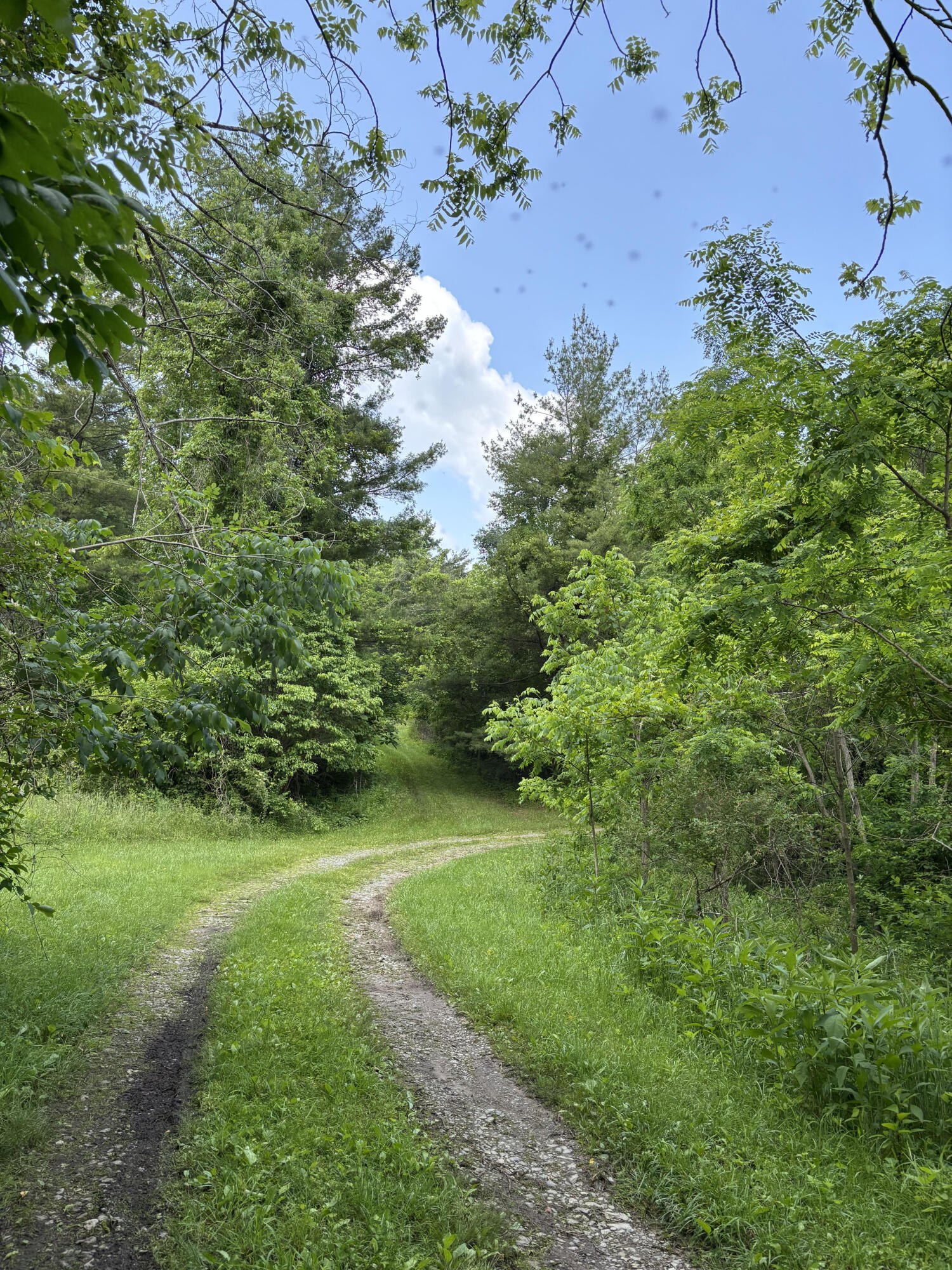 0 Robertson Mountain Road Narrows, VA 24124 - Photo 7 of 21 Donovan F