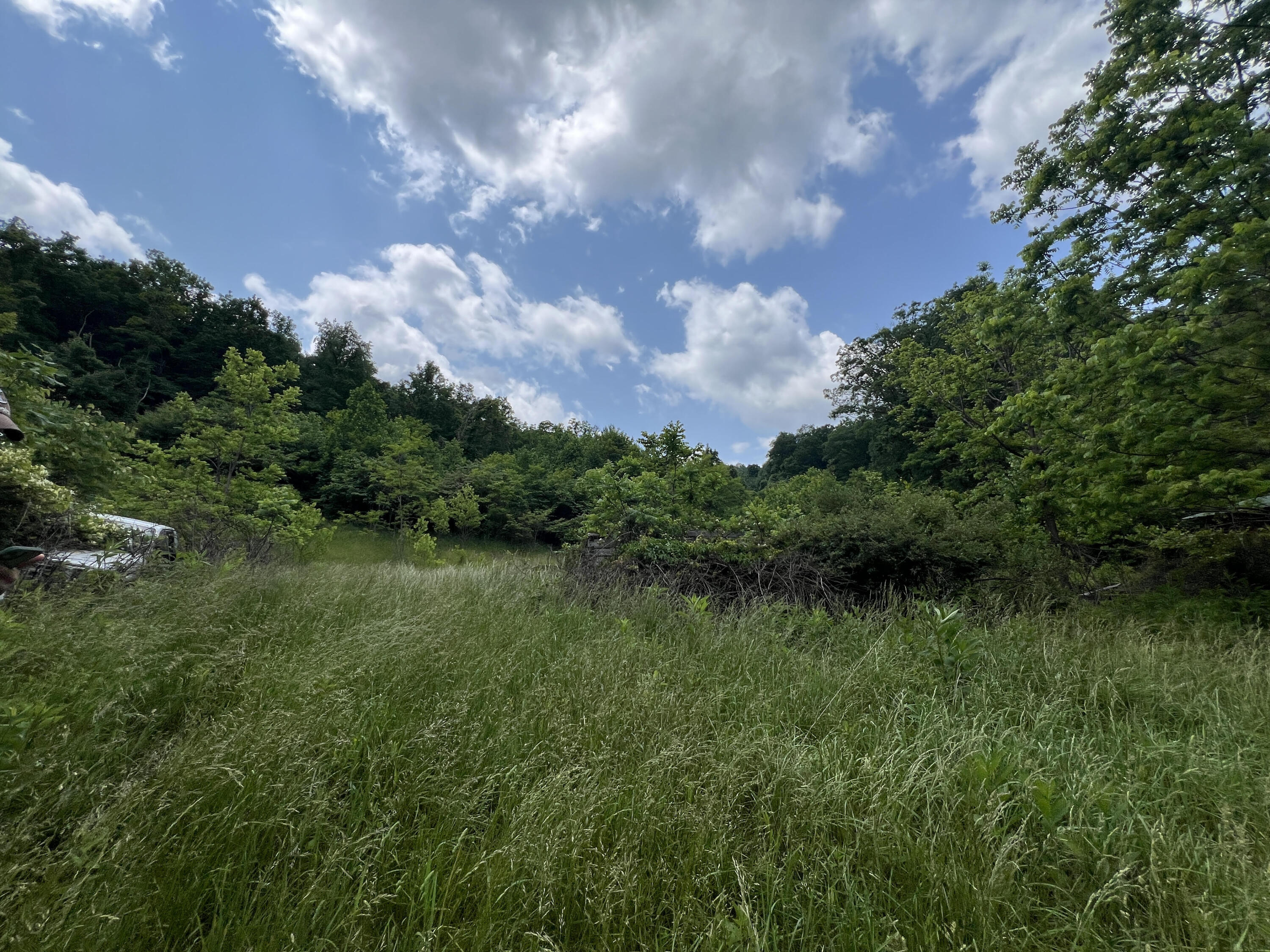 0 Robertson Mountain Road Narrows, VA 24124 - Photo 9 of 21 Donovan I