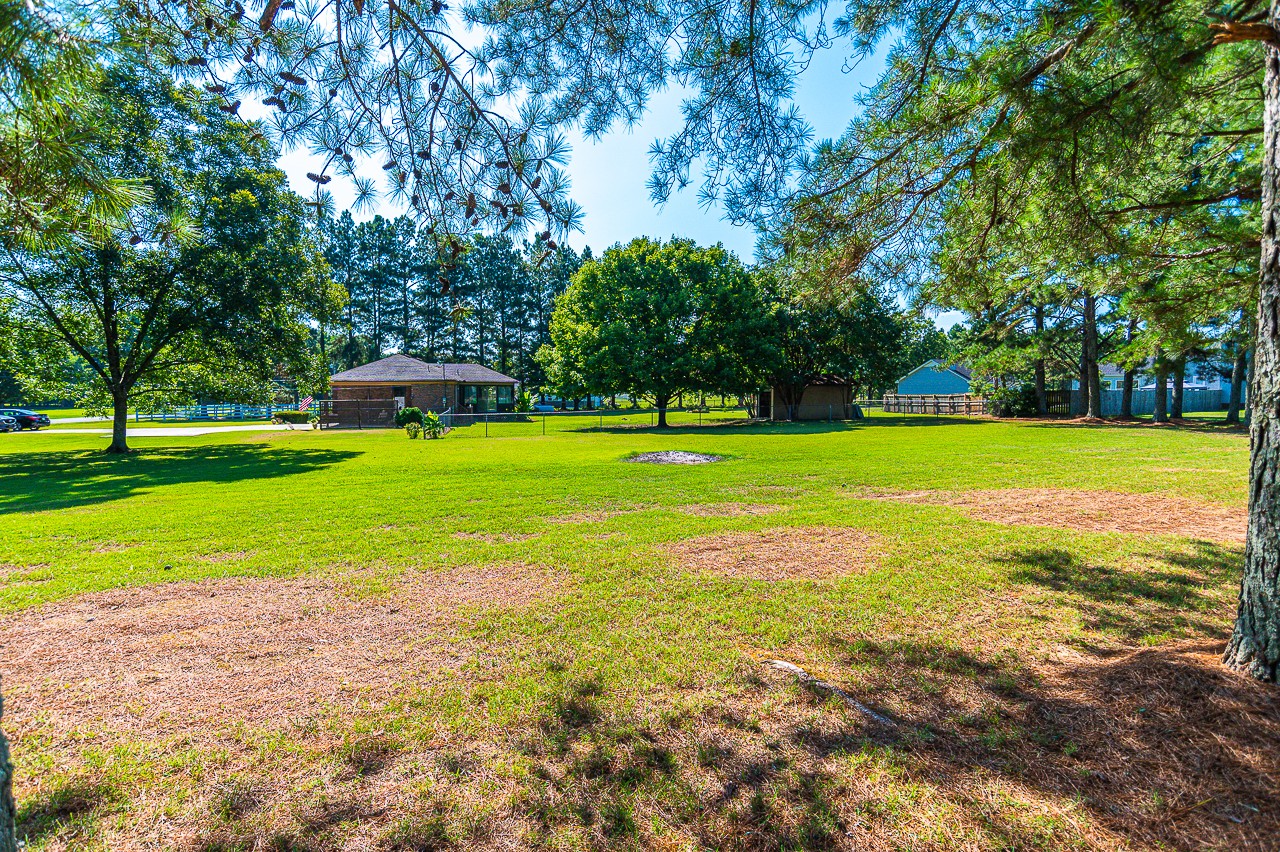 308 Jones Road Taft, TN 38488 - Photo 50 of 55 a view of a big yard with swimming pool