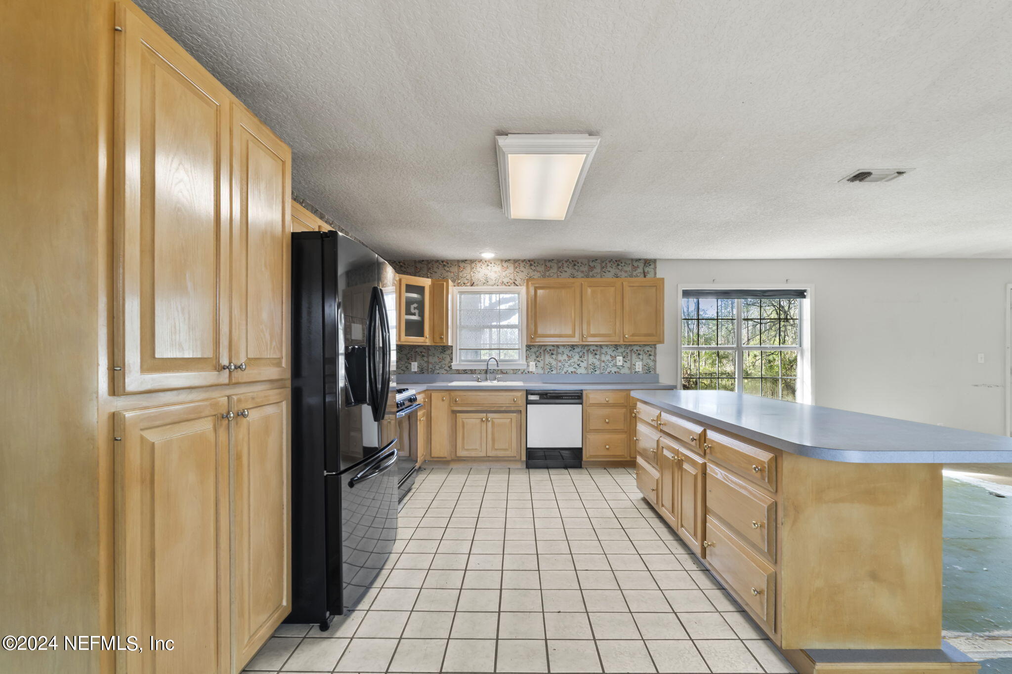 1356 Allie Murray Road Middleburg, FL 32068 - Photo 12 of 41 Kitchen_3